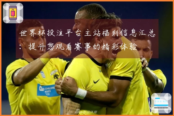 世界杯投注平台主站福利信息汇总：提升您观看赛事的精彩体验